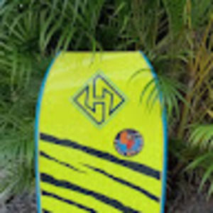 Meet your Posher, Sharky